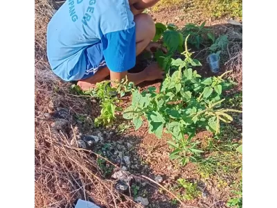 WhatsApp Image 2024-04-25 at 07